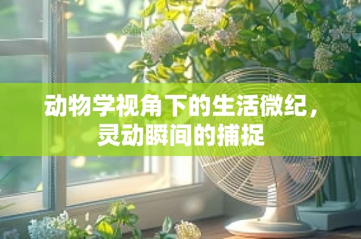 动物学视角下的生活微纪，灵动瞬间的捕捉