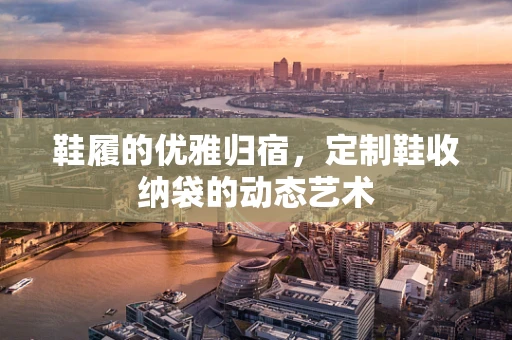 鞋履的优雅归宿，定制鞋收纳袋的动态艺术