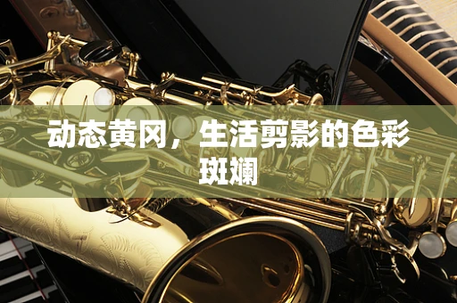 动态黄冈，生活剪影的色彩斑斓
