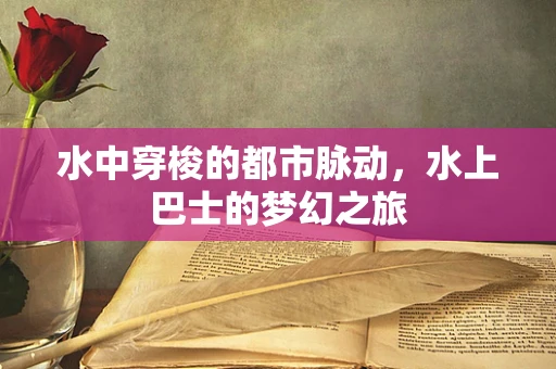 水中穿梭的都市脉动，水上巴士的梦幻之旅