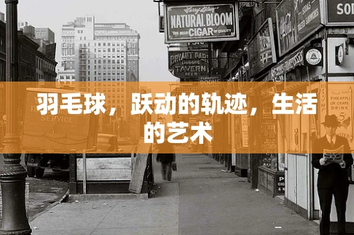 羽毛球，跃动的轨迹，生活的艺术