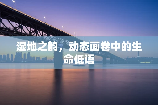 湿地之韵，动态画卷中的生命低语