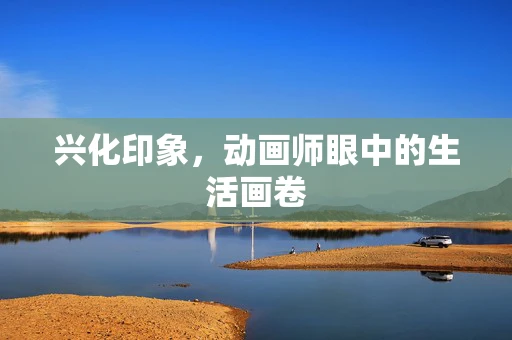 兴化印象，动画师眼中的生活画卷
