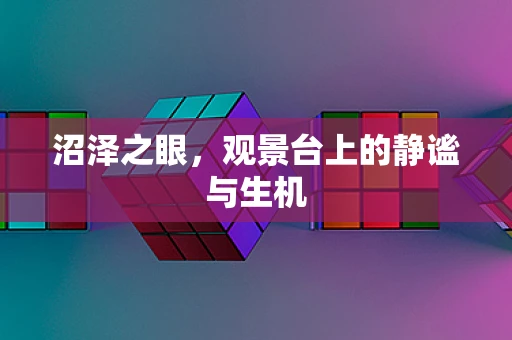 沼泽之眼，观景台上的静谧与生机