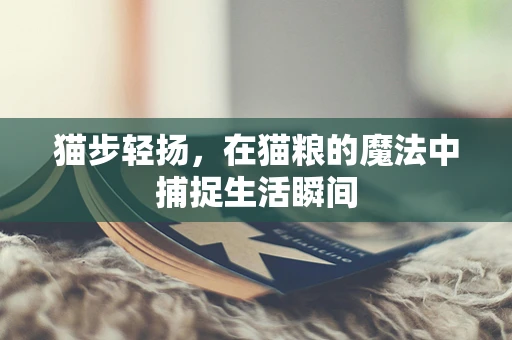 猫步轻扬，在猫粮的魔法中捕捉生活瞬间