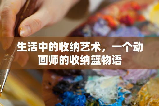 生活中的收纳艺术，一个动画师的收纳篮物语