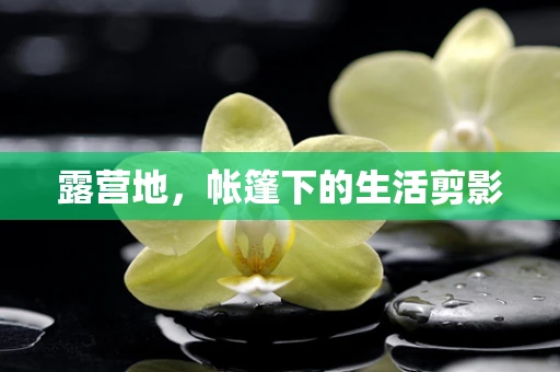 露营地，帐篷下的生活剪影