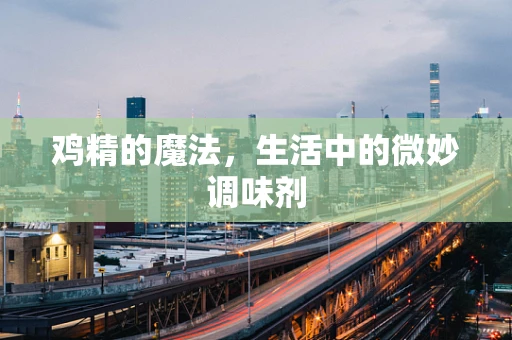 鸡精的魔法，生活中的微妙调味剂