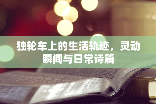 独轮车上的生活轨迹，灵动瞬间与日常诗篇