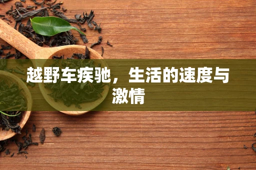 越野车疾驰，生活的速度与激情