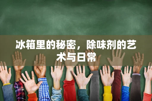 冰箱里的秘密，除味剂的艺术与日常