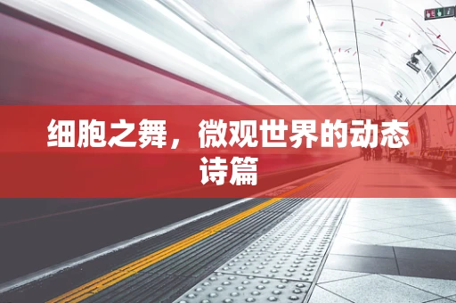 细胞之舞，微观世界的动态诗篇