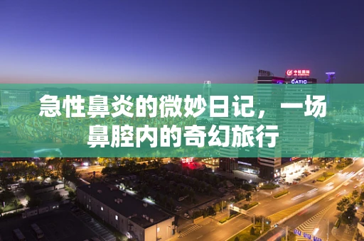 急性鼻炎的微妙日记，一场鼻腔内的奇幻旅行