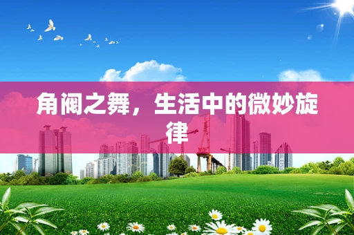 角阀之舞，生活中的微妙旋律