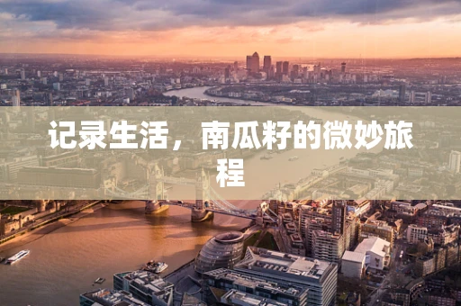 记录生活，南瓜籽的微妙旅程
