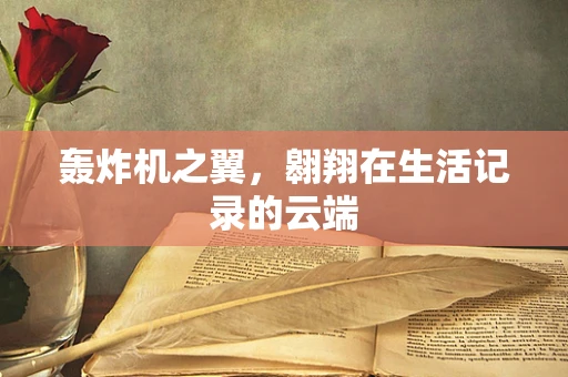 轰炸机之翼，翱翔在生活记录的云端