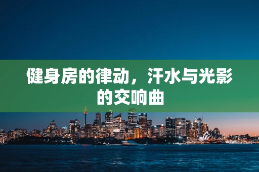 健身房的律动，汗水与光影的交响曲