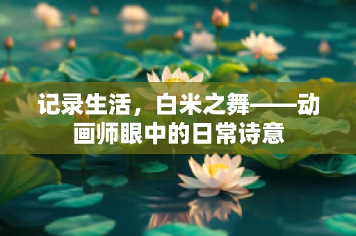 记录生活，白米之舞——动画师眼中的日常诗意