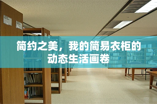 简约之美，我的简易衣柜的动态生活画卷