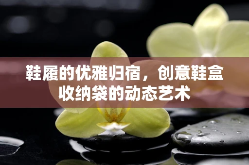 鞋履的优雅归宿，创意鞋盒收纳袋的动态艺术