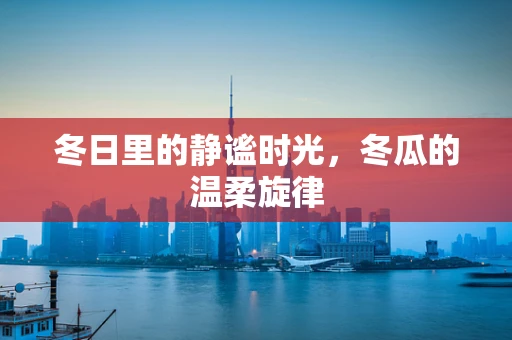 冬日里的静谧时光，冬瓜的温柔旋律