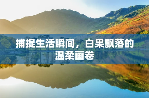 捕捉生活瞬间，白果飘落的温柔画卷