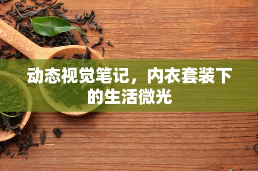 动态视觉笔记，内衣套装下的生活微光