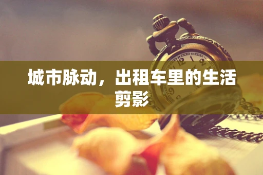 城市脉动，出租车里的生活剪影