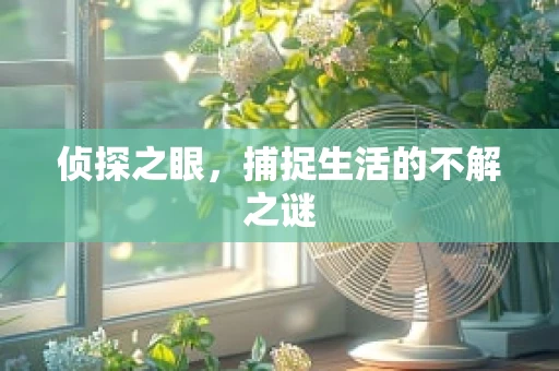 侦探之眼，捕捉生活的不解之谜