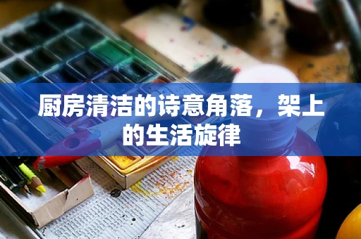 厨房清洁的诗意角落，架上的生活旋律