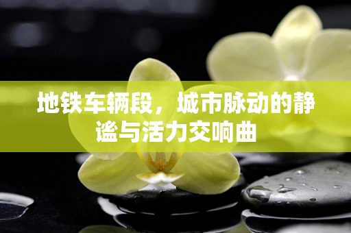 地铁车辆段，城市脉动的静谧与活力交响曲