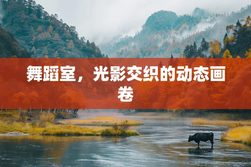 舞蹈室，光影交织的动态画卷