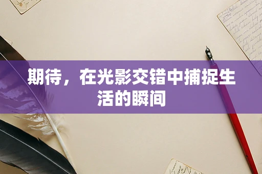 期待，在光影交错中捕捉生活的瞬间