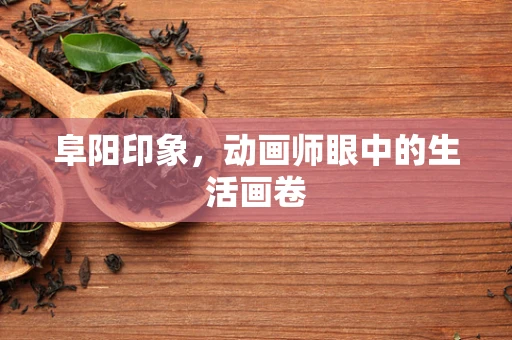 阜阳印象，动画师眼中的生活画卷