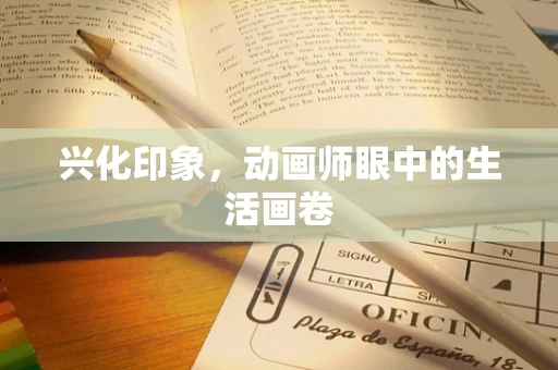 兴化印象，动画师眼中的生活画卷