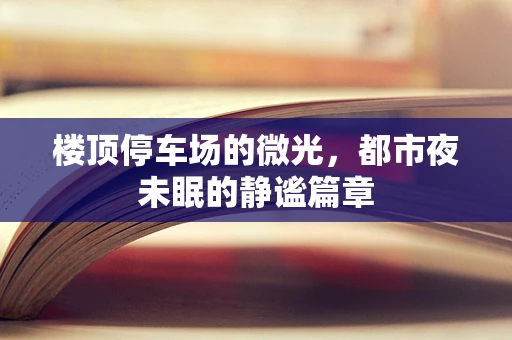 楼顶停车场的微光，都市夜未眠的静谧篇章