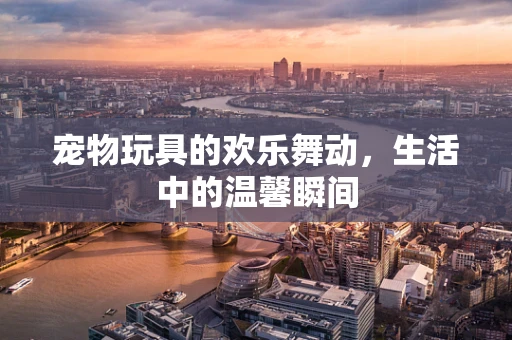 宠物玩具的欢乐舞动，生活中的温馨瞬间