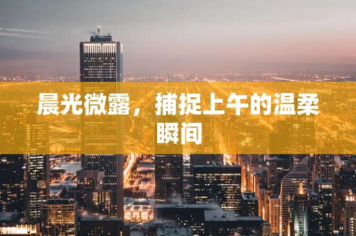 晨光微露，捕捉上午的温柔瞬间