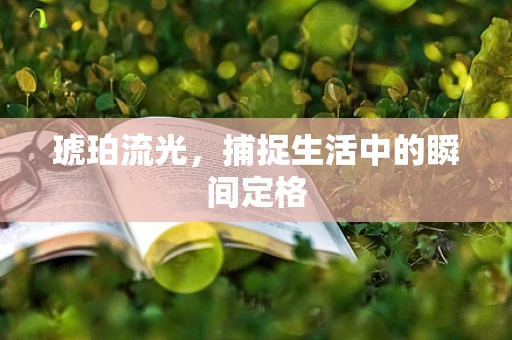 琥珀流光，捕捉生活中的瞬间定格