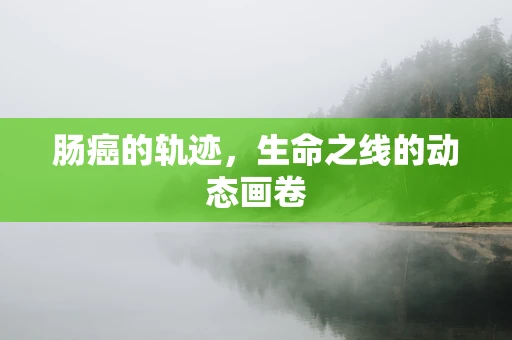 肠癌的轨迹，生命之线的动态画卷