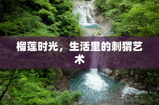 榴莲时光，生活里的刺猬艺术