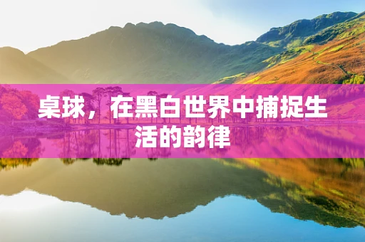 桌球，在黑白世界中捕捉生活的韵律