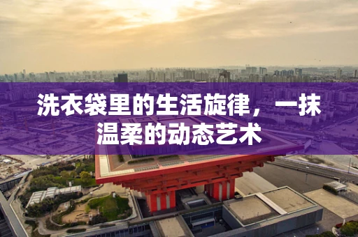 洗衣袋里的生活旋律，一抹温柔的动态艺术