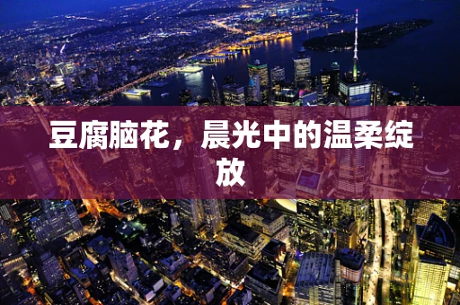 豆腐脑花，晨光中的温柔绽放