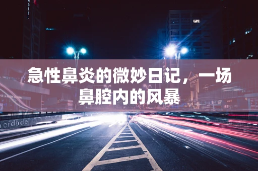 急性鼻炎的微妙日记，一场鼻腔内的风暴