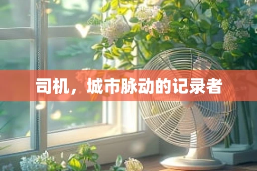 司机，城市脉动的记录者