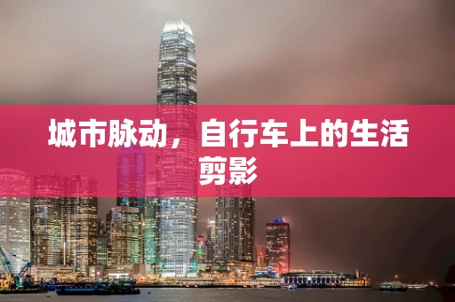 城市脉动，自行车上的生活剪影