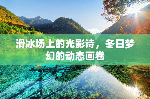 滑冰场上的光影诗，冬日梦幻的动态画卷