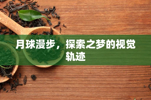 月球漫步，探索之梦的视觉轨迹