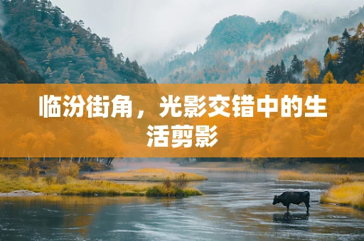 临汾街角，光影交错中的生活剪影